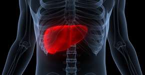 Como reconhecer os sintomas do câncer de fígado? Veja os principais sinais e fique de olho