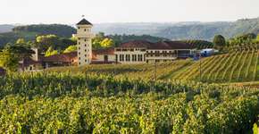 Foto: (Thiago Santos/iStock)