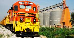 Foto: (Divulgação)