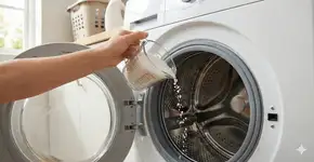 Foto: (Imagem gerada por IA/Gemini)