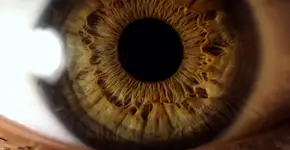 Foto: (Herseyden biraz../istock)