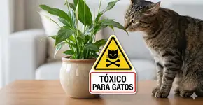 Foto: (Imagem gerada por IA/Gemini)