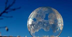 Foto: (Imagem sem texto alternativo disponivel ID [1834801])