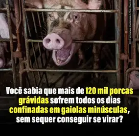 A empresa que faz uso dessa que é uma das...