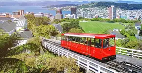 Foto: (Mlenny/iStock)