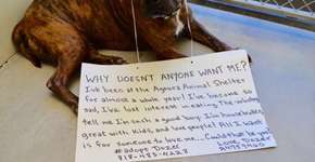 Foto: (Imagem sem texto alternativo disponivel ID [1869151])