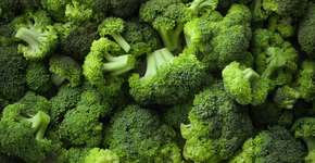 Entenda o motivo do brócolis ser uma potência nutricional