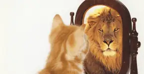 Lição do aumento da audiência da Catraca: nunca abandone seu leão