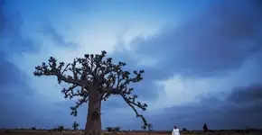 Exposição ‘Entre o Aiyê e o Orun’