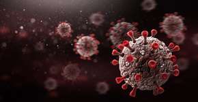 Foto: (loops7/itock)