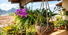 Para a orquídea não murchar no calor brasileiro: O macete dos tailandeses é usar casca de coco para manter a raiz fresca