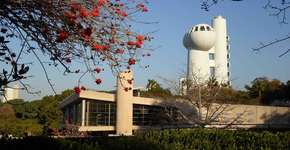 Foto: (Divulgação)