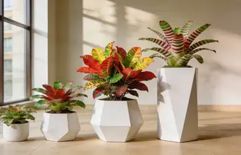 Featured large news: Conheça 5 plantas “clássicas” que estão voltando à moda na era moderna