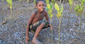 Foto: (Imagem sem texto alternativo disponivel ID [1834793])