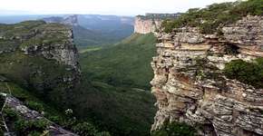 Café da Chapada Diamantina é eleito o melhor do Brasil