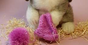 Foto: (Imagem sem texto alternativo disponivel ID [1041751])