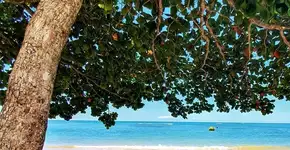 Foto: (Arquivo Pessoal)