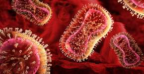 Foto: (peterschreiber.media/istock)