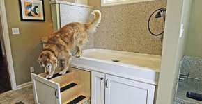 Foto: (Imagem sem texto alternativo disponivel ID [1019774])