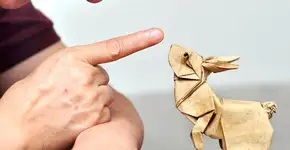 Origami: exposição quer levar obras de 80 artistas para Nova York; confira galeria