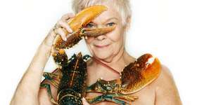 Foto: (Imagem sem texto alternativo disponivel ID [881886])