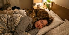 Por que o gato dorme na sua cabeça: é só para se aquecer? É um sinal de uma necessidade profunda