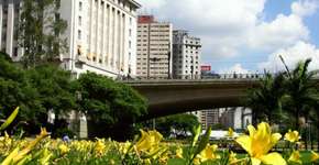 Foto: (Imagem sem texto alternativo disponivel ID [311464])