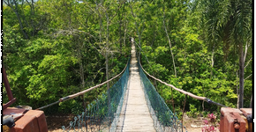 O que você precisa saber antes de visitar Bonito (MS)