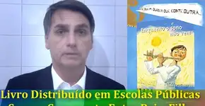 Opinião: Bolsonaro, Haddad,  estupro, incesto e a masturbação