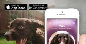 Foto: (Imagem sem texto alternativo disponivel ID [879143])