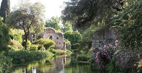 Foto: (Divulgação)