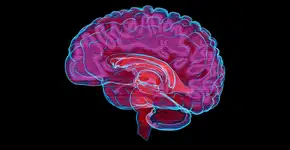 Foto: (Alexander Sikov/istock)