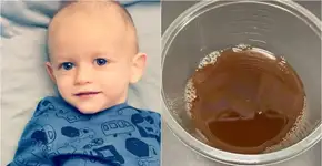 Foto: (divulgação/gofundme)