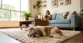 Quais são as 10 raças de cães mais calmas para se ter em casa?