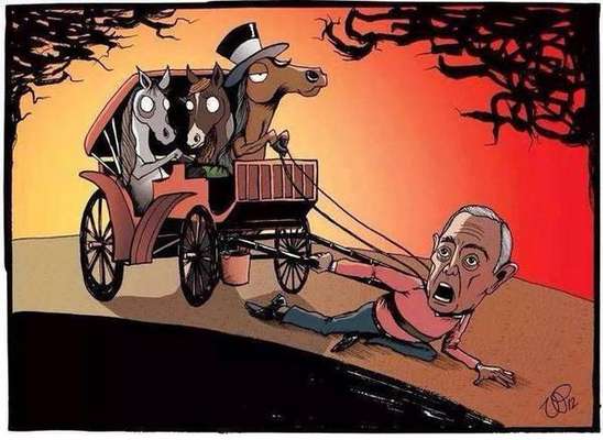 Desenhos fazem crítica da relação homem/animal (Imagem: Divulgação)