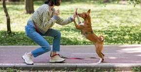 Foto: (Imagem sem texto alternativo disponivel ID [2614715])