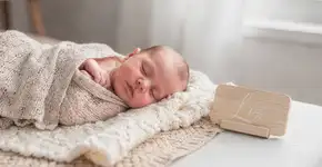 Foto: (Imagem sem texto alternativo disponivel ID [2711491])