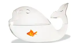 Aquários criativos para decorar sua casa