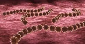 Foto: (Gilnature/istock)