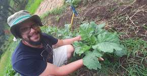 Foto: (Imagem sem texto alternativo disponivel ID [2184874])