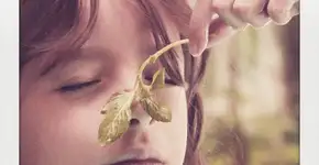 Foto: (Imagem sem texto alternativo disponivel ID [1610379])