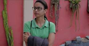 Cinearte Petrobras disponibiliza ingresso grátis de domingo