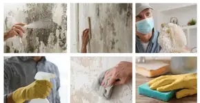 Esse truque vai remover mofo das paredes para sempre