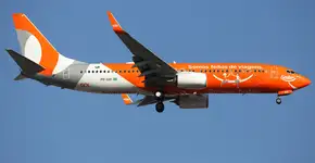 Foto: (Divulgação)