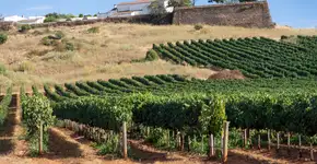 Foto: (Jose Luis Alvarez Esteban/iStock)