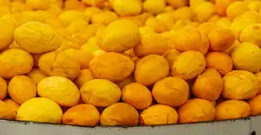 Foto: (AngelaMacario/istock)