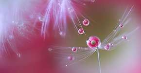 Foto: (Imagem sem texto alternativo disponivel ID [614138])