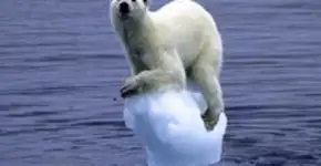 ONG promove questionário global que revela impactos das mudanças climáticas nas grandes cidades