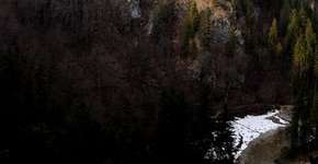 Foto: (Imagem sem texto alternativo disponivel ID [851796])