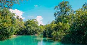 5 motivos para se encantar com Bonito (MS) na primavera